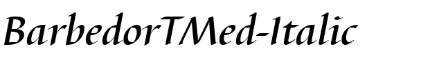 BarbedorTMed Italic.ttf