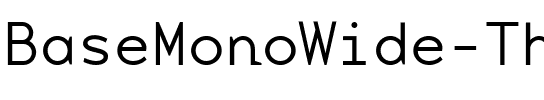 BaseMonoWide-Thin Thin.ttf