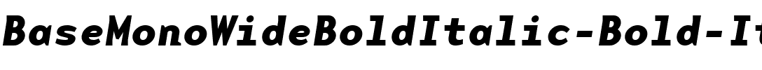 BaseMonoWideBoldItalic Bold Italic.ttf