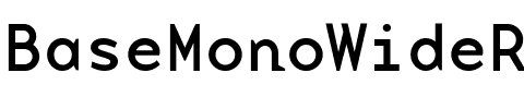 BaseMonoWideReg Roman.ttf
