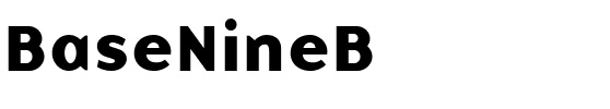 BaseNineB Roman.ttf