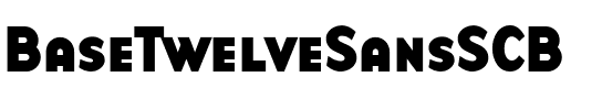 BaseTwelveSansSCB Roman.ttf