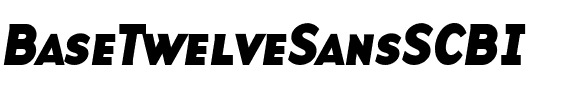 BaseTwelveSansSCBI Roman.ttf
