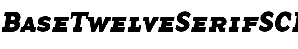 BaseTwelveSerifSCBI Roman.ttf