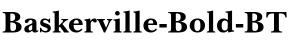 Baskerville BT Bold.ttf