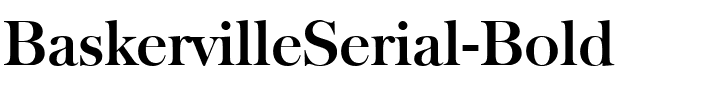 BaskervilleSerial Bold.ttf