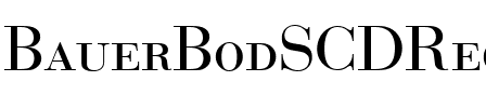 BauerBodSCDReg Regular.ttf