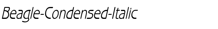 Beagle-Condensed Italic.ttf