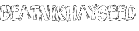 BeatnikHayseed Regular.ttf