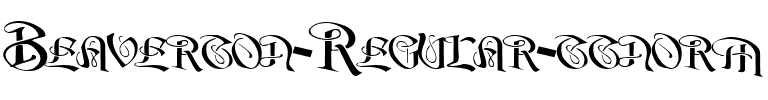 Beaverton ttnorm Regular.ttf