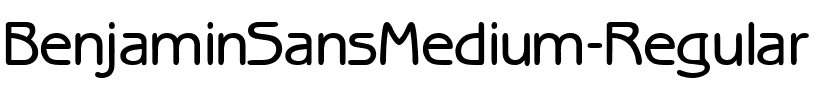 BenjaminSansMedium Regular.ttf