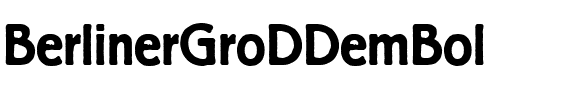 BerlinerGroDDemBol Regular.ttf