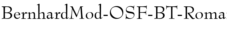 BernhardMod OSF BT Roman.ttf