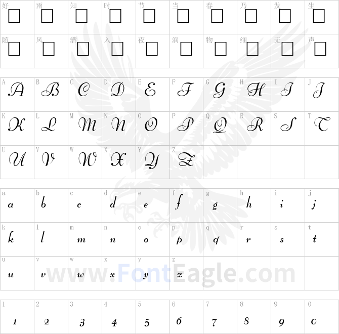 BernhardScript-Bold-copy-1-