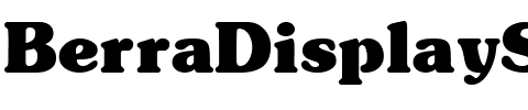 BerraDisplaySSi Regular.ttf