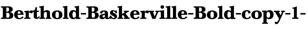 Berthold Baskerville Regular.ttf