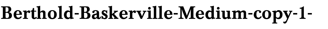 Berthold Baskerville Bold.ttf