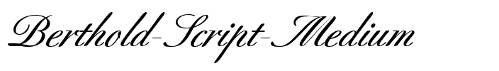 Berthold Script ItalicBold.ttf