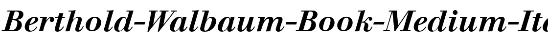 Berthold Walbaum Book ItalicBold.ttf