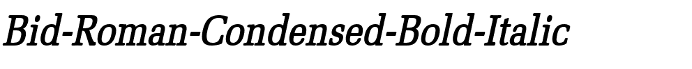 Bid Roman-Condensed Bold Italic.ttf