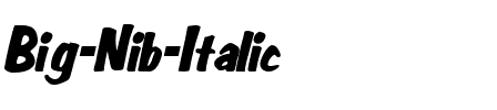 Big Nib Italic.ttf