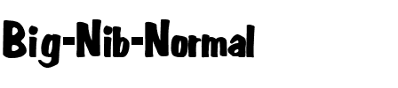 Big Nib Normal.ttf