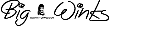 Big Winks Normal.ttf