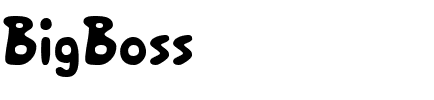 BigBoss Regular.ttf