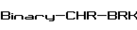 Binary CHR BRK Regular.ttf