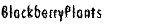 BlackberryPlants Regular.ttf