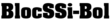 BlocSSi Bold.ttf