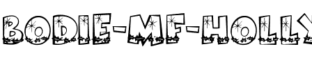 Bodie MF Holly Regular.ttf