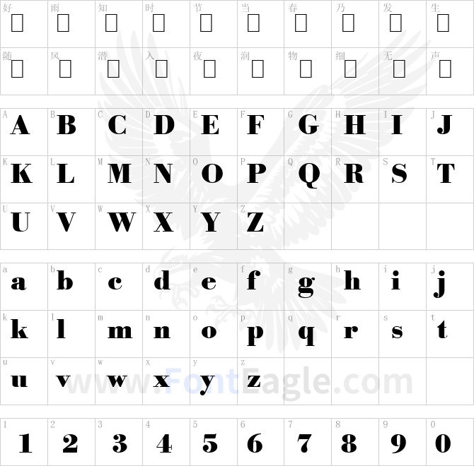 Bodoni-Serial-Heavy-Regular