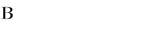 BodoniExt-Normal Regular.ttf