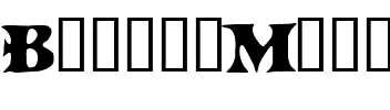 BoinkoMatic Regular.ttf