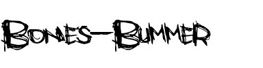 Bones Bummer Regular.ttf