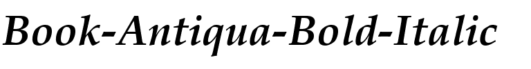 Book Antiqua Gras Italique.ttf