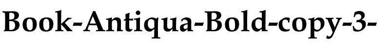 Book Antiqua Bold Regular.ttf