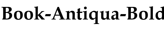 Book Antiqua Gras.ttf
