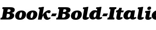 Book-Bold Italic.ttf
