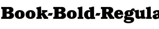 Book-Bold Regular.ttf