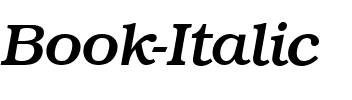 Book Italic.ttf