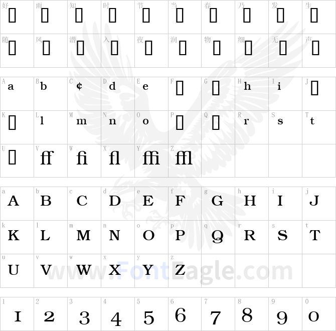 BookwomanExp-LightSH