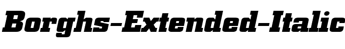 Borghs-Extended Italic.ttf