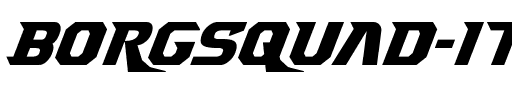Borgsquad Italic Italic.ttf