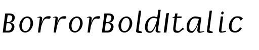 BorrorBoldItalic Regular.ttf