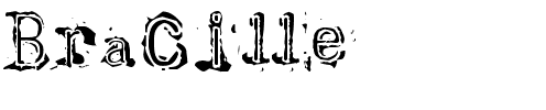 Bracille Normal.ttf