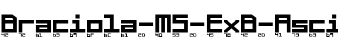 Braciola MS ExB Ascii Regular.ttf