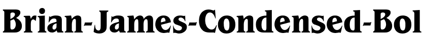 Brian James Condensed Regular.ttf