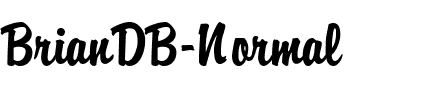 BrianDB Normal.ttf
